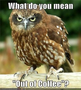 lolpics-coffee owl