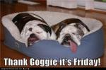 Thank Dog its Friday