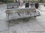 Jackson Square Bench