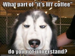 funnydogs MY coffee