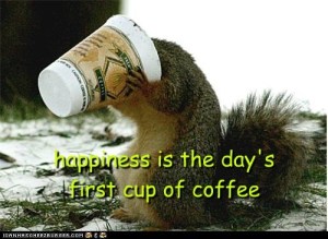 Coffee squirrel