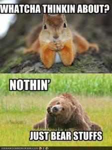 Thinking-lol squirrel and bear