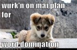 wurkn-on-mai-plan-for-word-domination-caleb-pup