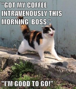 IV Coffee Good to Go