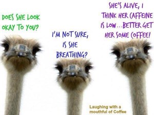 Coffee Ostriches
