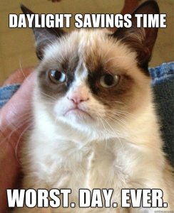 Grumpy Cat DST