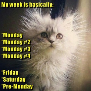 week-of-mondays