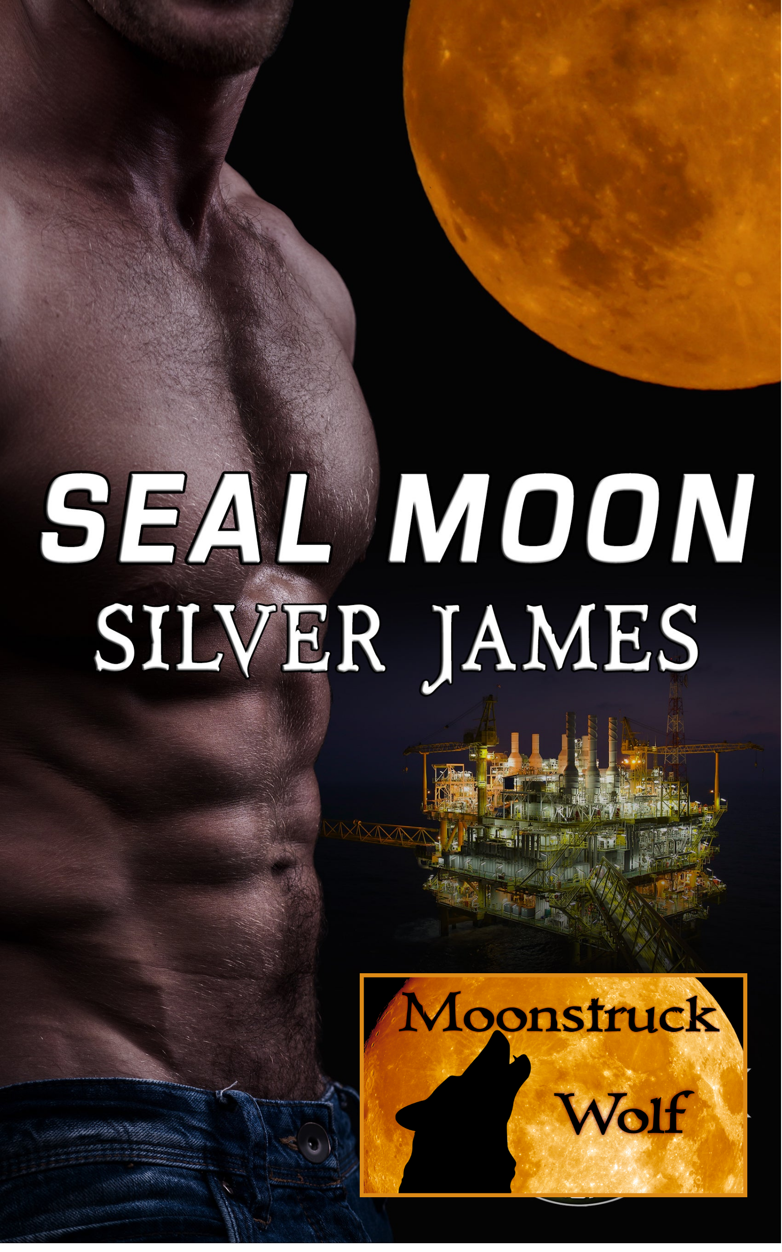 SEAL Moon updated cover BBI 3-13-22
